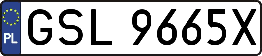 GSL9665X
