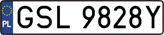 GSL9828Y