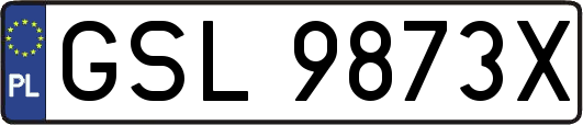 GSL9873X