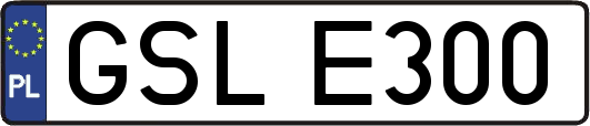 GSLE300