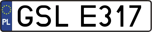 GSLE317