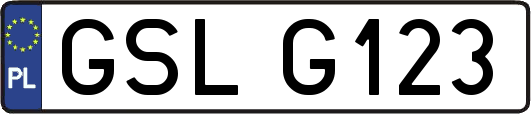 GSLG123
