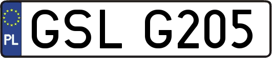 GSLG205