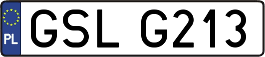 GSLG213