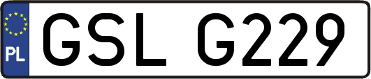 GSLG229