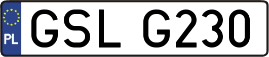 GSLG230