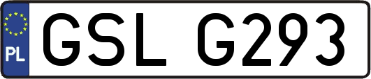 GSLG293