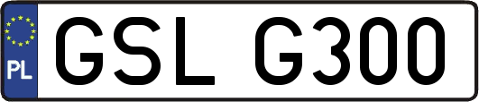GSLG300