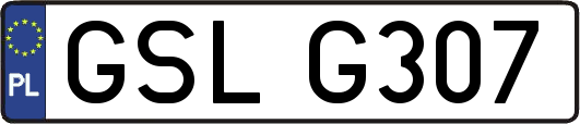 GSLG307