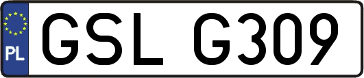 GSLG309