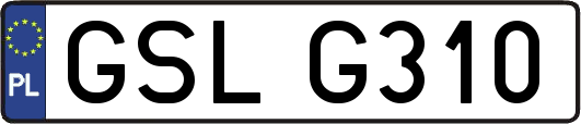 GSLG310