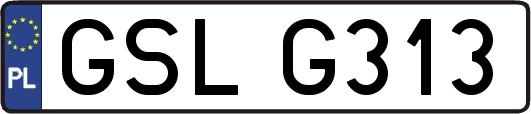 GSLG313