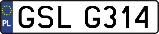 GSLG314