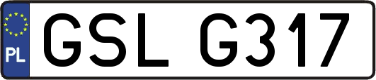 GSLG317