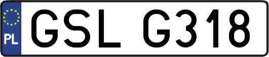 GSLG318