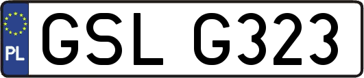 GSLG323