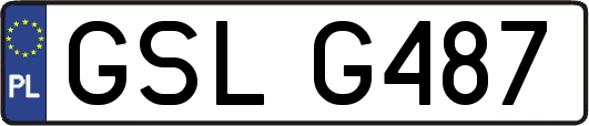 GSLG487