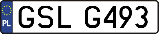 GSLG493