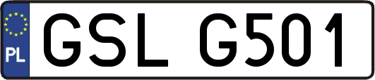 GSLG501