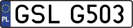 GSLG503