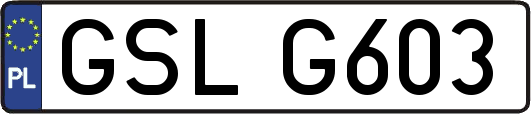 GSLG603