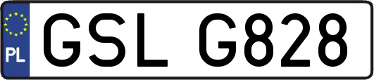 GSLG828