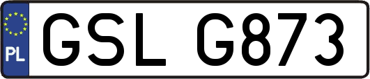 GSLG873