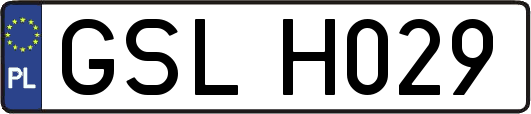 GSLH029