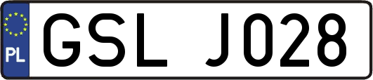 GSLJ028