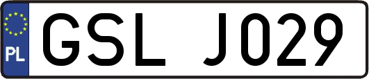 GSLJ029