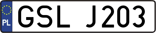 GSLJ203