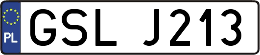GSLJ213