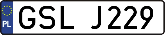 GSLJ229