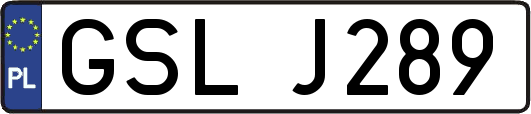 GSLJ289