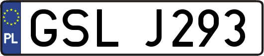 GSLJ293