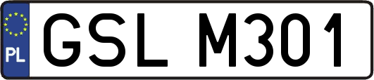 GSLM301