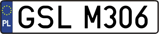 GSLM306