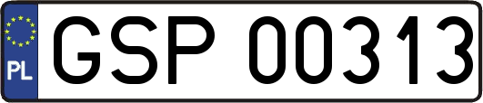 GSP00313