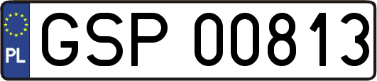 GSP00813