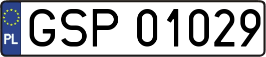 GSP01029