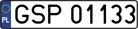 GSP01133