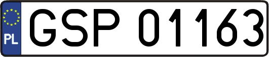 GSP01163