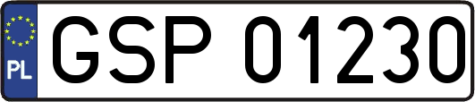 GSP01230