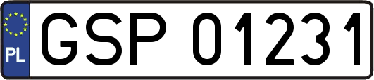 GSP01231