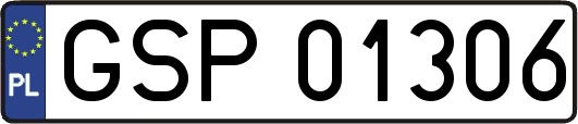 GSP01306