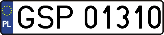 GSP01310