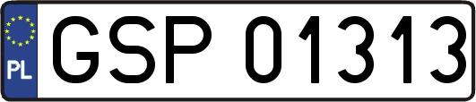 GSP01313
