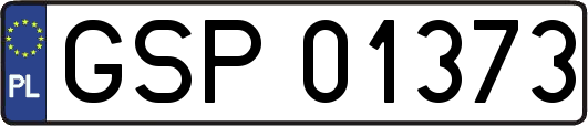 GSP01373
