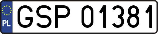 GSP01381
