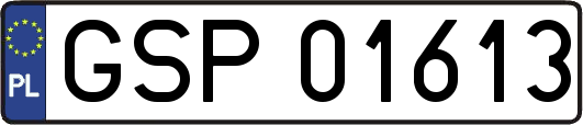 GSP01613
